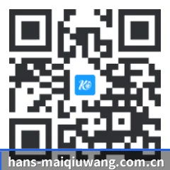 系统版 iOS 二维码